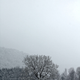 Illustration for article titled 27 Bone-Chilling Photos Of Winter